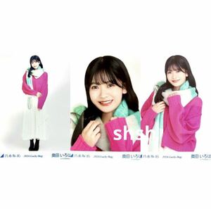 《乃木坂46》公式グッズ 生写真 3枚コンプ　奥田いろは　2024 luckybag 福袋 冬コーデ　ヨリチュウヒキ　(カレンダー衣装 冬コーデ