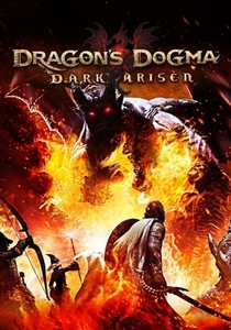 PC Dragon's Dogma Dark Arisen ドラゴンズドグマ ダークアリズン 日本語字幕対応 STEAM コード 即決