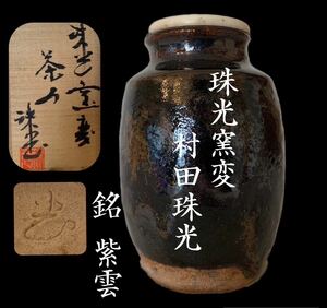 珠光窯変 鬼志野 村田珠光 (哲夫) 茶道具 茶入 検索/古美術品 /煎茶道具 /茶器 /在銘 /窯変習志野/わび茶/ 千利休 /宗珠 /共箱/珠光