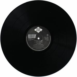 A Tribe Cold Quest Check The Rhime レコードの画像5