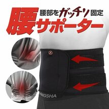 ガッチリ固定 腰サポーター サポートベルト 男女兼用 腰用ベルト ジム スポーツ 体力労働に ダブルホールド JC722/Lサイズ_画像1