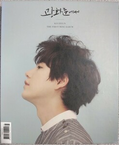 KYUHYUN (SUPER JUNIOR) THE FIRST MINI ALBUM 光化門で キュヒョン ソロアルバム 韓国盤 送料込み 美品