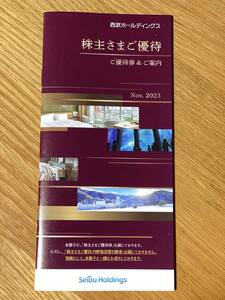 西武ホールディングス 株主さまご優待 冊子 