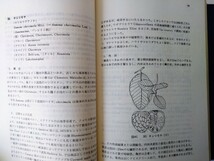 東南アジアの果樹　昭和49年12月 発行（財）農林統計協会　　植物図鑑　熱帯植物　熱帯果樹　熱帯果実　東南アジアの果物　_画像4