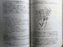 東南アジアの果樹　昭和49年12月 発行（財）農林統計協会　　植物図鑑　熱帯植物　熱帯果樹　熱帯果実　東南アジアの果物　_画像5