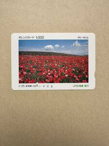 ☆1穴☆駅限定『旭川駅』超美品　ポピー咲く丘　JR北海道使用済み 1000円オレンジカード レトロ アンティーク ビィンテージ 平成