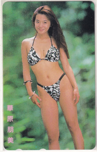 華原朋美　テレカ　