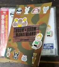 W5新品■ビリーズブートキャンプ「ＢＯＯＭ ＢＯＯＭ ＷＯＮＤＥＲＬＡＮＤ」CD ダイエットエクササイズ_画像3