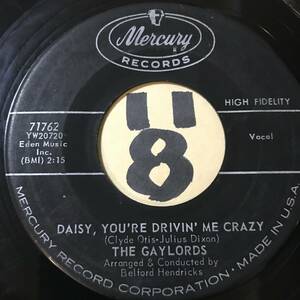 試聴 THE GAYLORDS DAISY, YOU’RE DRIVIN’ ME CRAZY 両面EX+