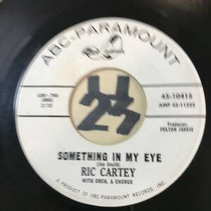 試聴 RIC CARTEY SOMETHING IN MY EYE EX 