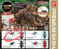 新品未開封　いきもの大図鑑アドバンス カミキリムシ 　テナガカミキリ_画像1