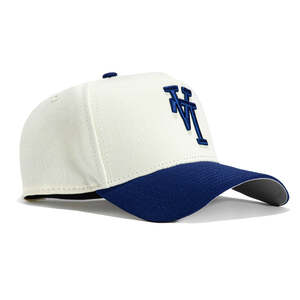 ニューエラ キャップ ロサンゼルス ドジャース ロイヤルブルー NEW ERA MLB 9FORTY A-FRAME LOS ANGELES DODGERS UPSIDE DOWN SNAPBACK