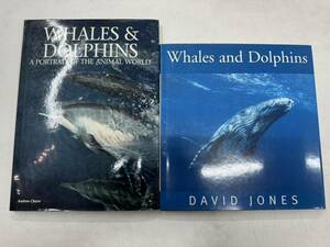 a0121-20. иностранная книга whales and dolphins др. море . живое существо . дельфин иллюстрированная книга фотография фотоальбом photo DAVID JONES Andrew cleave природа 