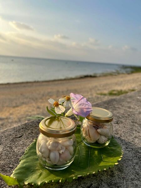 石垣島・白保海岸の貝殻瓶詰めオブジェ