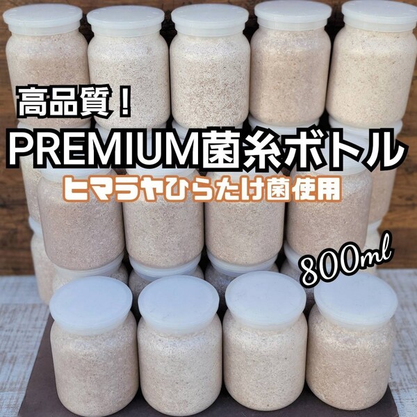 極上!ヒマラヤひらたけプレミアム菌糸瓶【7本セット】トレハロース・ローヤルゼリー・キトサン強化!ニジイロクワガタ、オオクワにお薦め