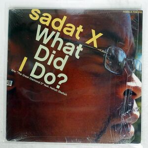 SADAT X/WHAT DID I DO?/FEMALE FUN 12FEM16 12