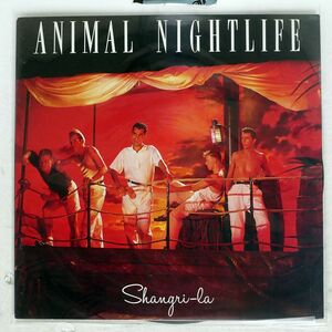 見本盤 ANIMAL NIGHTLIFE/SHANGRI-LA/ISLAND R25D2013 LP