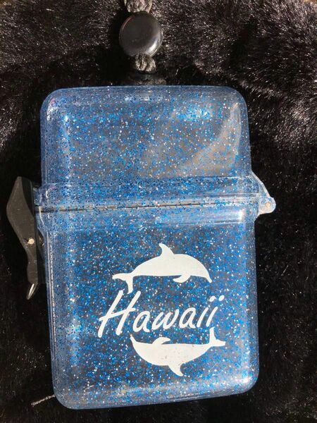 アクア　キーケース　Hawaii