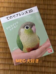 てのりフレンズ10 ウロコインコシナモン 1個 バンダイ フィギュア 食玩 てのりフレンズ