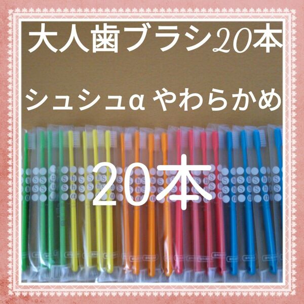 【125】歯科専売　シュシュα大人歯ブラシ「やわらかめ20本」