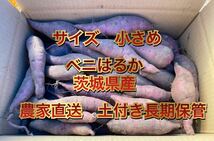 土付き　5kg 紅はるか　べにはるか　S〜SS(50〜200g)サイズ　さつまいも 5キロ　茨城県産　長期保管　熟成_画像1