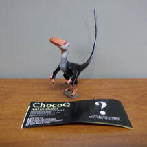 チョコQ キタダニリュウ 竜盤目 ドロマエオサウルス科 SECRET シークレット Choco animatales_画像1