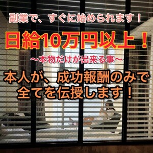 ★100円即決★日給10万円以上！1万円で仕入れて1万7千円で売却！すぐに実行出来る転売術を具体的に伝授！利益が出るまでサポートします！★