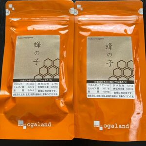 【新品未開封】蜂の子　2袋セット　オーガランド