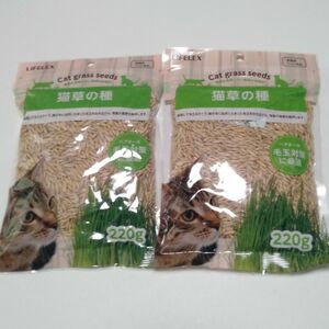 猫草の種(220ｇ)　×　２袋 まとめ買いがお得　有効期限：2025.10.01　 毛玉吐き出し 胃腸の健康維持 