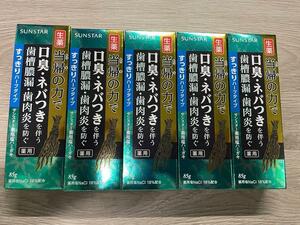 サンスター当帰の力　歯みがき粉まとめ売り　薬用塩歯みがき粉５本