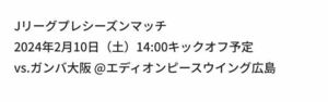 端席の座席　Jリーグ開幕戦　サンフレッチェ広島対ガンバ大阪　エディオンピースウィングスタジアムのこけら落とし