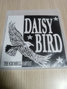 THE SCRUMBULL HARVEST「DAISY BIRD」配布CD