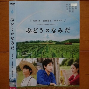 ぶどうのなみだ レンタル落ちDVD 大泉洋 安藤裕子 染谷将太 ケース無し 紙ジャケットとディスクのみ