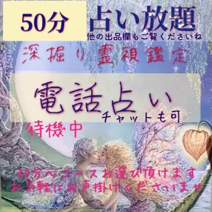 ※霊的能力型タロット占い 占星術 数秘術 電話かチャット占い 占い放題 【本気の方向け】購入前にお問い合わせください^^