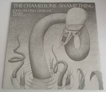 英国盤12incシングル　The Chameleons　 Swamp Thing　全3曲入り　1986年　Geffen Records GEF 10T　'80年代ニューウェイヴ・サイケ_画像1