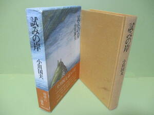 ■題字サイン・署名本　小川国夫『試みの岸』昭和47年函帯付