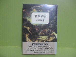 再出品なし！★小川国夫『若潮のころ』昭和56年初版カバー、帯★