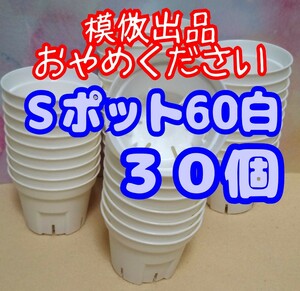 ◆送料無料◆Sポット60 白 30個 スリット鉢 プラ鉢 2号 6cm プレステラ 丸型 多肉植物