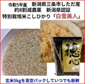 令和5年産新米　減農薬　新潟こしひかり玄米真空パック5kg　新潟県三条市旧しただ村産　新潟県認証　特別栽培米100% 白雪美人