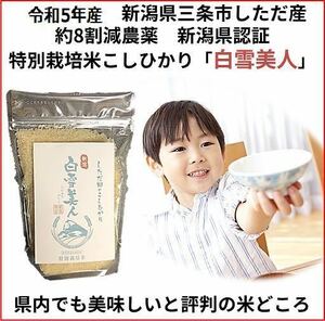 お試し　減農薬　新潟こしひかり白米900g 新潟県三条市旧しただ村産　新潟県認証　特別栽培米100% 白雪美人　送料無料　グルテンフリー