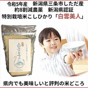 お試し　減農薬　新潟こしひかり白米900g 新潟県三条市旧しただ村産　新潟県認証　特別栽培米100% 白雪美人　送料無料　グルテンフリー