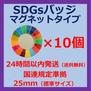 SDGsカラーホイールバッジ　マグネットタイプ　10個セット