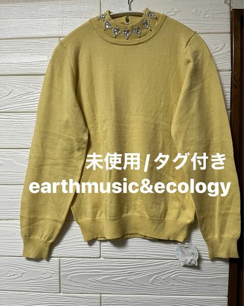 【新品/未使用/タグ付き】earthmusic&ecology ビジュー飾り　長袖　ニット　プルオーバー