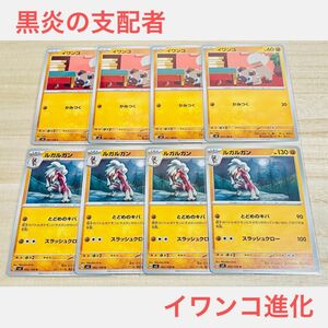 ポケカ　未使用【 イワンコ　ルガルガン　C U　合計8枚 】セット　まとめ売り　黒炎の支配者　ポケモンカードゲーム sv3 進化