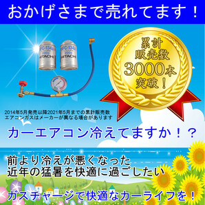 カーエアコンガス エアコン ガス チャージ ホース 車 エアコンガス カーエアコン ガスチャージ R134a 2本 ロング メーター付きの画像1