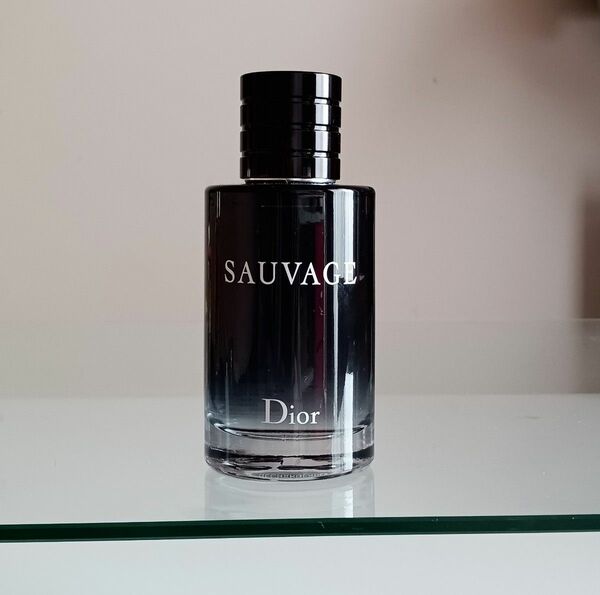 Dior SAUVAGE ディオール ソヴァージュ オードトワレ100ml