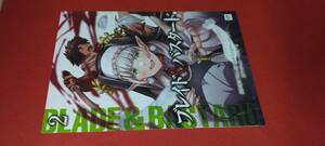 SS ブレイド＆バスタード コミック2巻 アニメイト・書泉 特典SSリーフレット DREコミックス 2023.12.22 ※本はつきません