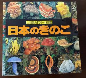 【送料無料】『日本のきのこ』[山渓カラー名鑑 山と溪谷社] 今関六也，大谷吉雄，本郷次雄【編著】