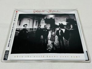 DEACON BLUE★ディーコンブルー★when the world knows your name★エンジェル★258P-5255★日本盤★13曲収録★ネオアコ★ギターポップ