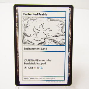 MTG Enchanted Prairie テストカード★N5414